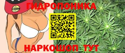 мет Вязьма