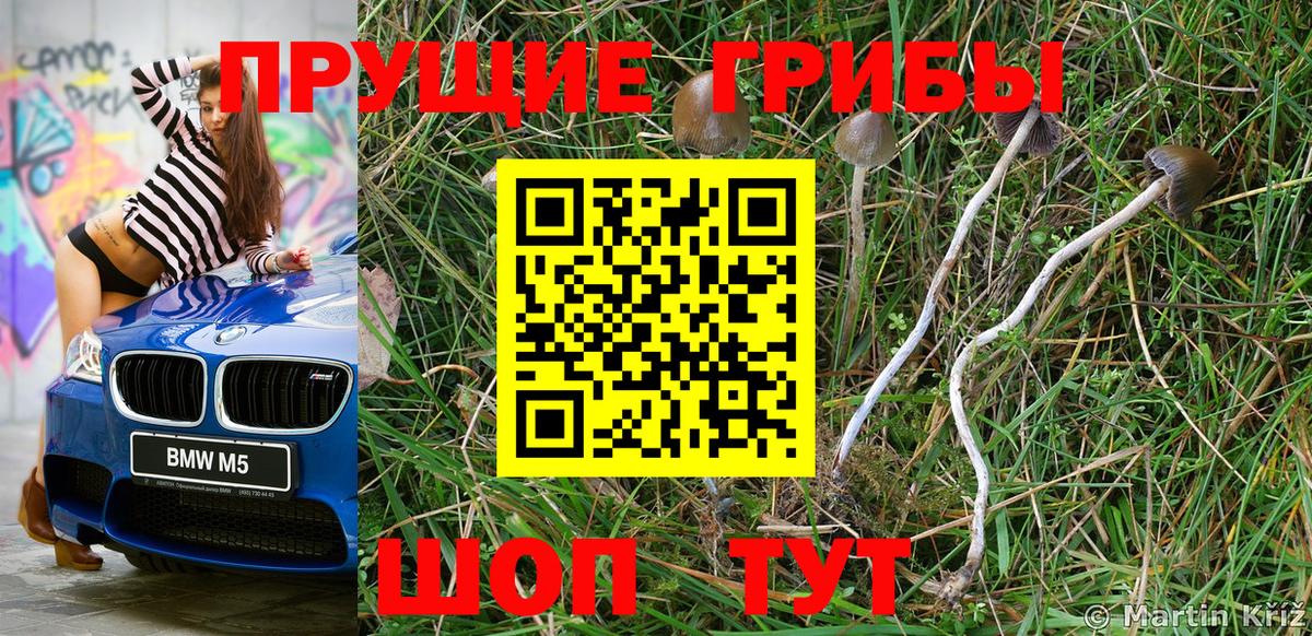Псилоцибиновые грибы MAGIC MUSHROOMS  Вход с VPN  Белебей 